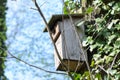 Bird feeder hung on a tree among the high leaves. Royalty Free Stock Photo