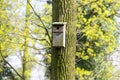 Bird feeder hung on a tree among the high leaves. Royalty Free Stock Photo
