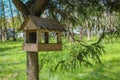 Serene Pine Park: Rustic Bird Feeder and Charming Birdhouse. A Delightful Retreat Amidst Nature's Beauty.