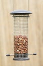 Bird feeder with peanuts Royalty Free Stock Photo