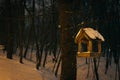 Bird feeder in snowy forest. Wooden bird house in winter park. Animal care concept. Handmade bird feeder in snow on tree Royalty Free Stock Photo