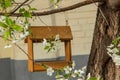 bird feeder on a spring tree, birdhouse handmade, bird care