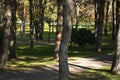 Bird feeder and squirrels in a park in the city. Help animals.