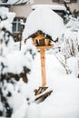 Bird feeder standing in the snow, feeding birdseed at winter season