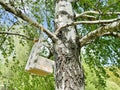 Bird feeder, treat for animals