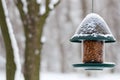 Bird feeder in the winter forest. Helping birds in winter. Royalty Free Stock Photo