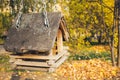 Bird feeders. Classic forest bird and squirrel feeder as small gabled house on tree