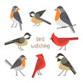 Bird feeding poster