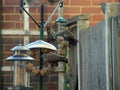 Bird Feeding Station