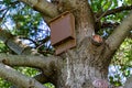 Bird feeding station up on a tree