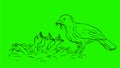 Bird feeding worm to chicks drawing 2d animation