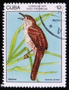 Bird Fermina or Zapata wren Ferminia cerverai, stamp is from the series, circa 1977