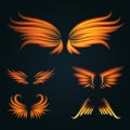 Bird fire wings fantasy feather burning fly mystic glow fiery burn hot art wings illustration on black.