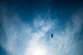 The bird flies against the background of a blue sky with clouds Royalty Free Stock Photo