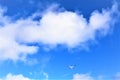 The bird flies in the blue sky among the clouds Royalty Free Stock Photo