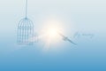 Bird flies out of the cage into the sunny sky Royalty Free Stock Photo