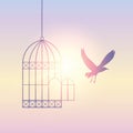 Bird flies out of the cage into the sunny sky Royalty Free Stock Photo