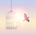 Bird flies out of the cage into the sunny sky Royalty Free Stock Photo