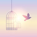 Bird flies out of the cage into the sunny sky