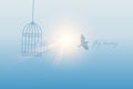 Bird flies out of the cage into the sunny sky Royalty Free Stock Photo