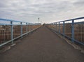 The bird flies over the head of a person talking on the phone that goes over the bridge over the railway tracks