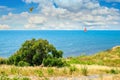 A bird flies over the sea, a boat with a sail is floating in the distance. Black Sea