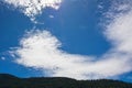 A bird flies over the trees above the hill in a bright blue sky with white clouds Royalty Free Stock Photo