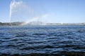 A Bird Flies Through a Rainbow Created by a Memorial Water Jet in Canberra