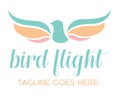 Bird Flight Logo Icon Template