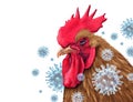 Bird Flu Crisis