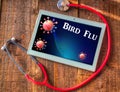 bird flu Royalty Free Stock Photo