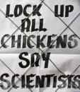 Bird Flu Press Royalty Free Stock Photo