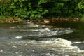 Bird fly above the Annan river Royalty Free Stock Photo