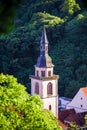 Bird-fly overview to small village in Alsace Royalty Free Stock Photo