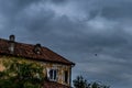 Bird flying above an abandoned house with trees in front on an overcast day Royalty Free Stock Photo