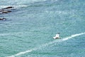 A bird flying above water. Seagull hovering over the sea surface. Ocean waves Royalty Free Stock Photo