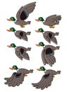 Bird Flying Animation Royalty Free Stock Photo