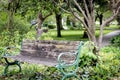 Bird flying away from bench in Cleveland, Ohio Royalty Free Stock Photo