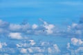 Bird flying on clear blue sky heap white cloud over on sea Royalty Free Stock Photo