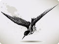 Bird flying, hand-drawing. Vector illustration.