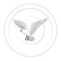 bird flying. illustration vector. hand drawing line art of animal. bird isolated line on white background. symbol of freedom. tat