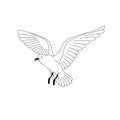 Bird flying. illustration vector. hand drawing line art of animal. bird isolated line on white background. symbol of freedom. tatt