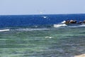 Bird flying on ocean