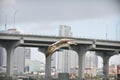 Bird flying over Miami Royalty Free Stock Photo