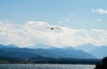 a bird flying over the water near a large mountain range