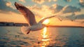 A bird flying over the water at sunset with a beautiful sky, AI Royalty Free Stock Photo