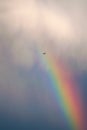 Bird flying through a rainbow after a storm Royalty Free Stock Photo