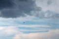 Bird flying silhouette on dark rainy cloudy sky Royalty Free Stock Photo