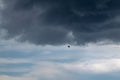 Bird flying silhouette on dark rainy cloudy sky Royalty Free Stock Photo