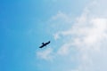 Bird flying, soaring in the sky, nice weather Royalty Free Stock Photo